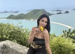 Shemale Monica888 3662442 Shemale Monica888 3662442