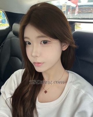 trans girl Montfercia 7177370 trans girl Montfercia 7177370