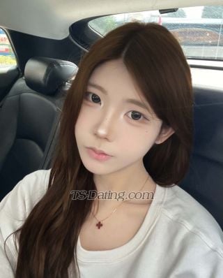 trans girl Montfercia 7177402 trans girl Montfercia 7177402