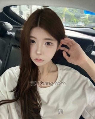 trans girl Montfercia 7190377 trans girl Montfercia 7190377