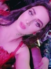 Muskan jan Lahore Transex Hello I am shemale available in Lahore DHA 
My place is safe and secure saprt flat in only me alone Top class service with VIP Shemale 
My service Sucking fucking kissing massage 
Roll Top Bottom Versatile Dominate Mistress BDSM Golden shower 
Body type fit 34 boobs 7 Active Dick 
Neat Clean Shemale available in Lahore DHA 
Contact me only WhatsApp 
03000112916
Please contact me good afford think