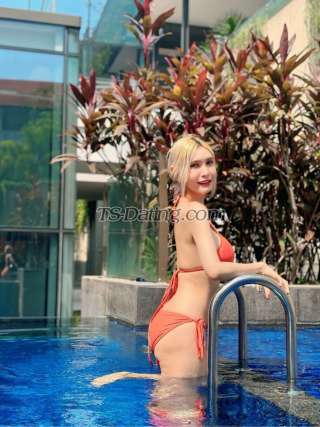 trans girl Mydream2556 2215348 trans girl Mydream2556 2215348