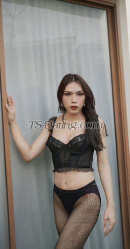 trans girl Myimage911 3237986 trans girl Myimage911 3237986