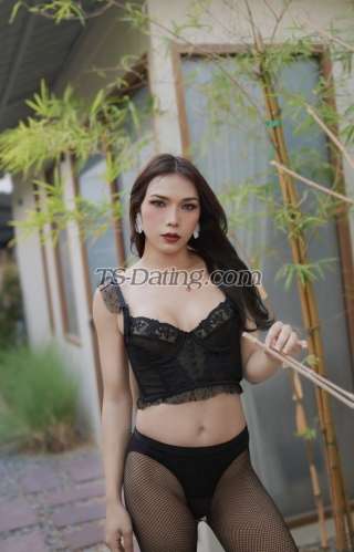 trans girl Myimage911 3238038 trans girl Myimage911 3238038