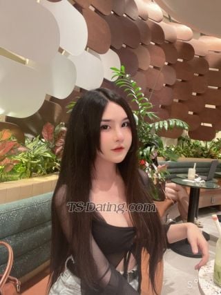 trans girl Mymy 8095266 trans girl Mymy 8095266