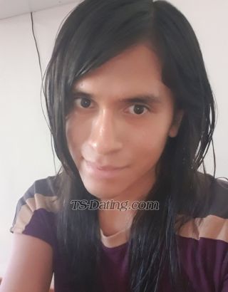 trans girl maccarena1234 0489917 trans girl maccarena1234 0489917