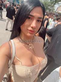 Madison madisonrendon madisonrendon Valencia Transex soy una impresionante jovencita de 22 años soy delgadita ,
con el de una modelo
me encanta ser tu acompañante en
todo momento, mi es maxima, disfrutaras de mi a todas horas,
soy muy divertida y lo vas a comprobar cuando estemos
juntos. Hago salidas, acompaño a eventos tambien ofrezco
fantasticos masajes relajantes
te espero en mi
apartamento privado también hago videollamada
I am
an impressive 22 year-old girl, I am skinny, with the great
body of a model, my I love being your companion at all
times, my involvement is maximum, you will enjoy me at all
times, I am very funny and you will see it when we are
together. I also offer fantastic relaxing massages I wait
for you in my private apartment my instagram I also make a
video call