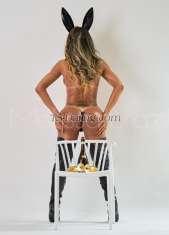 melissabraz Horgen Transex Hello, gents, my name is 🦋Mellissa Soáres🦋sexy shemale for few days in ya city .
let's get more intimate? I'm a very sexy blond Ts-lady , tall very feminine, fit long legs well endowed 9 inches, fully functional, I'm always very horny with extra milk so iI will need your help with that, hope you enjoy it, My skin is smooth soft and with this lovely shine glowing texture.
I love a very intelligent men who enjoys the best of life, it's there to try new thing, genuine and generous, who like to have the quality of time always,
I'm very sweet and love smile but I have a dominant side of me that can Super Sexy.
If you wish to spend some time with lovely Tgirl like me enjoy a deep Massage or try new things or fantasies, we definitely can do it, babe, together.
✅Incall- I have a lovely 💎apartment ,central , very spacious.
✅Outcall-I only provide outcall 🌟🌟🌟🌟🌟 just text me in advance
✅🌴travel company-🌴 I love to travel so I will accept a booking to travel company anywhere in the world, I'm very easy going, I can have the most glamorous trip to the very adventurous as well, I'm sure we will have great fun.
✅ONLY SAFE SEX
⭐️extra services
✅oils massage whit great atmosphere
✅ fetiches latex, high boots. all kinds of uniforms request in advanced
✅dominatrix also request in advanced
✅ group Duos and couples
✅i m fully functional great with first times id would like to try
I m not good but i try do my best speaking in ENglish, french ,portuguese and italian. It would be a pleasure meet you and share nice moments. be welcome !! ......................Melissa site : www.melissabrazil.net