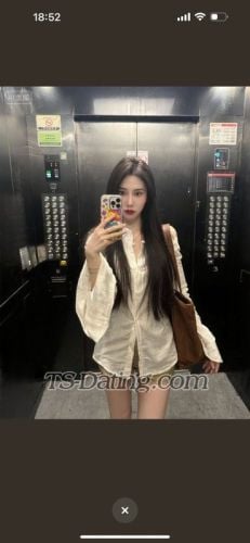 trans girl miaomiao 7749207