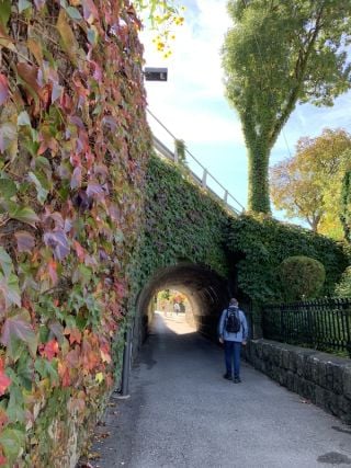 Mann / migoredev / Deutschland