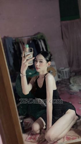 trans girl mimoomook6 9478743