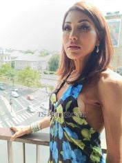 misspaola Bucharest Transex Hello guys
I am miss Paola , full operat trans woman, sexy elegant, sensual

I'm ready to offer you the best experience you deserve, the best blowjob you've ever had, anal sex, role play, strapon, dildos( many sizes)
Bdsm
Domination
Fisting
Toys 
Threesome (boys, trans and girls)
Party
Any special Request feel free to ask me