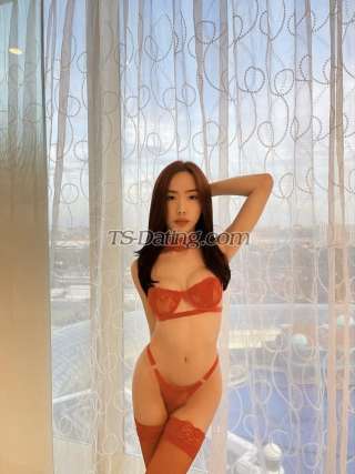 trans girl missylove 7165506 trans girl missylove 7165506