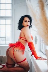 monstercockts Riga Transex Hello, I'm Kelly, a brazilian transgender woman who loves to
explore the world and make new connections! 🌍✨
Traveling is one of my greatest passions, and I'm always
seeking new experiences and cultures.
My favorite place
to relax is the beach; I love feeling the sea breeze and
soaking up the sun. ☀️ Additionally, I'm a fan of good
times with a cold beer in hand, whether at the beach or at a
lively gathering with friends.
I'm here to share special
moments and make your experiences even more memorable. Let's
enjoy life together!

📌 Important: A photo is
required before scheduling our meeting.

💲
Rates:
200🌹 – 1 hour

What you can
expect:
✨ hygienic setting
✨ Genuine chemistry
and sensuality
✨ 100% real and protected
encounters

🇬🇧 Fluent communication in
English, charming personality, and a touch of humor to make
every moment more enjoyable.

🔥 Available for
gentlemen and select couples.

📍 Location:
riga

📲Contact by whatsapp 

For
exclusive content, visit my
OnlyFans:

https://onlyfans.com/missmonstercockts