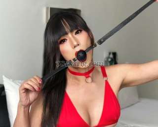trans girl NATALIEVIP 2359631 trans girl NATALIEVIP 2359631