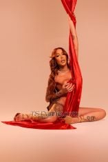 Nabila Queen Croydon Transex Hello!
My name is Nabila queen 
Brazilian
transsexual, beautiful light brunette with soft and fragrant
skin, active and passive liberal.
Thick penis and with a
lot of sperm ,
Naughty and no frills, for men of good
taste with a keen palate.
Come and be delirious with
pleasure and fulfill your most intimate fantasies in my
company.
Beauty, sensuality and talent are strong
characteristics in my service, distributed in 1.70 in
height, honey eyes and long brown hair.
Full breasts and
thin waist, large buttocks.
Delicate, feminine and
virile.
My main objective is to exceed the expectations
of my clients through personalized and attentive follow-up.
I have a strong ability to adapt and anticipate needs,
always seeking to create exclusive and memorable
experiences. My main qualities include attentiveness,
professional and discreet posture.'
It will be a great
pleasure to be in your company.
A big kiss 💋 Let’s
enjoy 💋