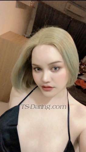 trans girl Nampan 2666664 trans girl Nampan 2666664