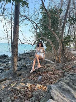 trans girl Nanonano 7525284 trans girl Nanonano 7525284