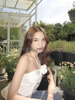 trans girl Nantakan 1949531 trans girl Nantakan 1949531