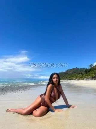 Shemale NastyBitch 4352641 Shemale NastyBitch 4352641
