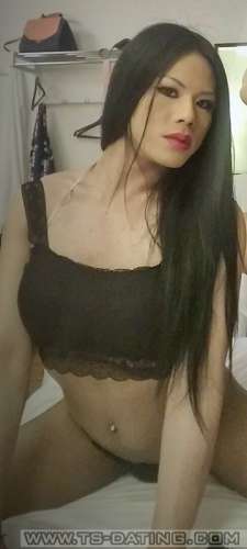 Shemale-NatachaTv-3340585