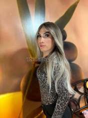 Natasha Natashamartin Natashamartin Castellon Transex Hola amor soy natasha tengo 23 años soy una chica trans ,
venezolana de piel blanca de cuerpo delgadita cariñosa soy
y muy educada  y adaptable para lo que en realidad tú
necesitas no soy brusca ni apurona, . ven a conocerme
estaré atenta para que disfrute  Soy .femenina y muy
educada