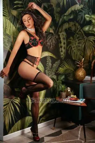 Shemale Nathaliaconti 9131304 Shemale Nathaliaconti 9131304