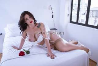 trans girl Nathasha26 8291085 trans girl Nathasha26 8291085