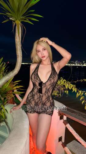 trans girl Natty6969 2165571 trans girl Natty6969 2165571