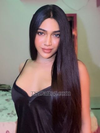 trans girl Neha1234 3567950 trans girl Neha1234 3567950