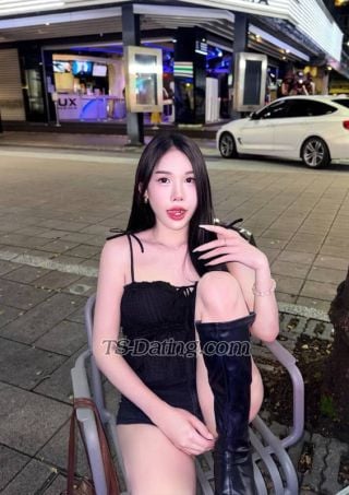 trans girl NewNew 6647979 trans girl NewNew 6647979