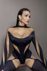 TSNICKY NickyBack NickyBack Berlin Transex Hé, je m'appelle Nicky, je mesure 1,78 m, je suis petite, Latina ! Je n'y suis pas allé depuis longtemps, mais en raison de la forte demande, je reviens pour vous. Je serais également heureux d’écouter ce que vous aimez. Vous pouvez me parler de tout, même dans 7 langues différentes. Qu'il s'agisse de politique, d'affaires, de mode, de fitness ou simplement de vous-même en général. Laissez votre stress derrière vous, car je serai entièrement là pour vous et avec une passion sensuelle vous oublierez tout simplement votre quotidien. J'espère. Vous avez également le sens de l'humour, car il n'y a rien de mieux que de simplement rire ensemble et profiter du moment présent. Tout au plus, je suis de mauvaise humeur quand l'hygiène n'est pas bonne. Parce que c’est ce que je veux attendre de toi. De même, que tu me parles raisonnablement. J'ai mes prix fixes pour lesquels je suis prêt à faire beaucoup de choses sales avec vous. Si vous payez plus, c'est bien, mais vous n'obtiendrez rien que je ne voudrais pas. Laissez-vous aller et vous remarquerez comment mes mains sensuelles et douces vous attraperont et vous éloigneront de votre quotidien. Je vous attends. Appelez-moi au +4915227678123. !!!! vous ne pouvez me joindre qu'avec un rendez-vous convenu !!!!!!! J'ai hâte de te voir, chérie ;)