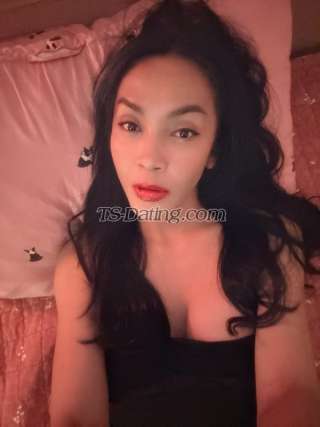 trans girl Nicole117 0651873 trans girl Nicole117 0651873