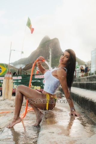 trans girl Nicolealeixo 9426558 trans girl Nicolealeixo 9426558