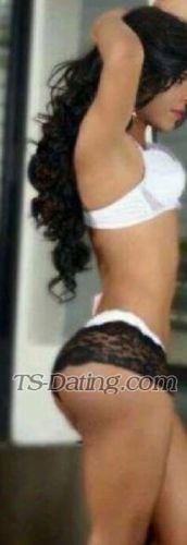 trans girl Nicolehot 2081642 trans girl Nicolehot 2081642