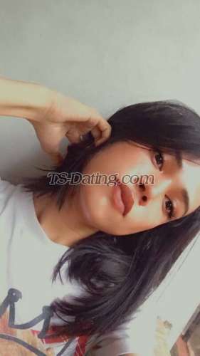 trans girl Nicolelabbsyu 6491934 trans girl Nicolelabbsyu 6491934