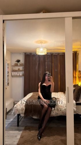 trans girl Nicolelima 2499660 trans girl Nicolelima 2499660