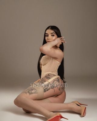 trans girl Nicolelima 2499707 trans girl Nicolelima 2499707