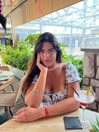 trans girl NicollySex 6578956 trans girl NicollySex 6578956