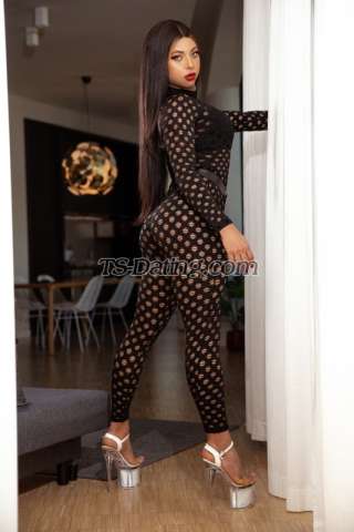 trans girl Nicollylins 5245425 trans girl Nicollylins 5245425