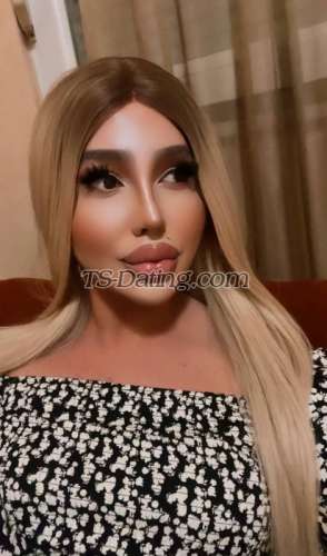 trans girl Nicolniki 3255149 trans girl Nicolniki 3255149