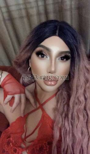 trans girl Nicolniki 7196841 trans girl Nicolniki 7196841