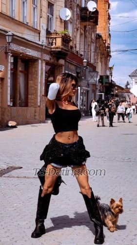 trans girl Nikakrouf 9432724