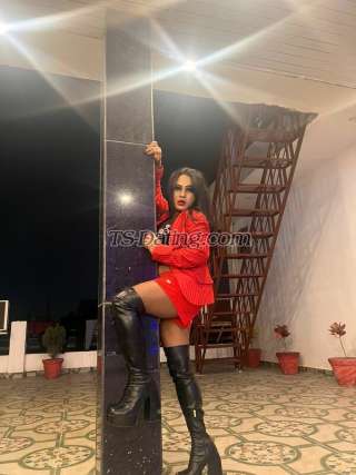 trans girl Nikiminhaz 1262385