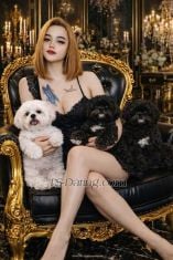 Nikitaclaudy Jakarta Transex HI i am nikita Shemale TOP INDONESIA , i am Profesional
servise and can do anything for your fantasy, good attitude
and have nice dick AVAIL For BDSM, Scatt Slave,
Mistress, 3some Couple, Fisting, Golden Shower, Camsex etc.
I'm nice person and smart one,wanna girl friend
experience its my skill ..call me if you interested
babe. Call me on Whatshap/Telegram :
+6285361025835