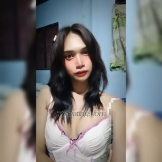 trans girl Nina1997 5378240 trans girl Nina1997 5378240