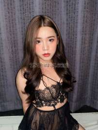 Ningning Ningning Ningning Bangkok Transex Hello guys 🥰
welcome to my page.
I'm ningning ❄️
I'm ladyboy in bangkok. Thank you for visiting my page and nice to meet you. Your don’t worry if you have never had any experiences with ladyboy before. I is ready to feel good, be happy, good service, good friend, friendly, enjoy and have fun together with you. I can do GFE and relationships. You will never regret Plus i always use protection. It will be a special day for you. 💕
I'm looking forward to it you top trans.
 💖 clean and safe 💖
 👇 Service about👇
 ✔️ top & bottom
 ✔️ Anal sex
 ✔️ 69
 ✔️ suck
 ✔️ GFE
 ✔️ rimming 👅
 ✔️ Erotic massage💆
 ✔️ kissing 💋
 ✔️ blowjob🫦
 ✔️ cum in mouth
 ✔️ cum in ass 
 ✔️ cum my face
 ✔️ cum my body 
 ✔️ drink 🥂
 ✔️ play 👋
 ✔️ party 🎉
 ✔️ shopping 👜
 ✔️ travel
 ✔️ Hang out 
 ✔️ Dinner 🍽️
 👇Can send message to me it is contact me 👇
WhatsApp: +66967397130
Line ID :  fwc. 
wechat: myxning_
Ig: myxning_
Twitter: myxning_