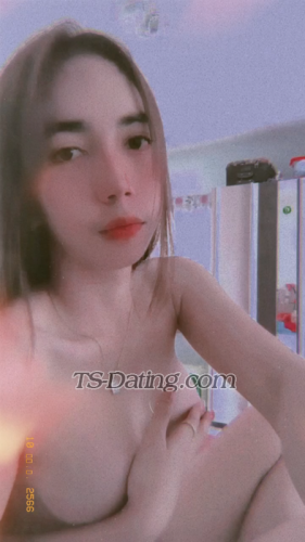 trans girl Nisvenus 0499254