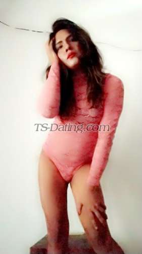 trans girl Notygirl 7055432 trans girl Notygirl 7055432