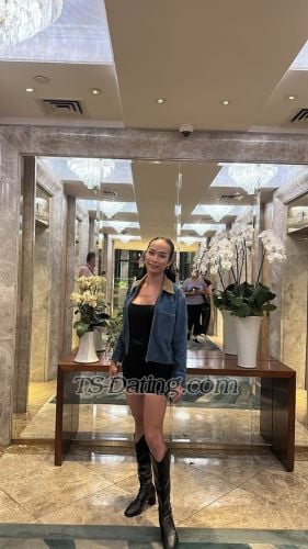 trans girl nanpatta 6901805 trans girl nanpatta 6901805